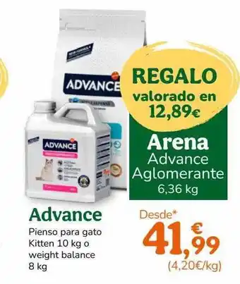 TiendAnimal Advance pienso para gato kitten 10 kg o weight balance oferta