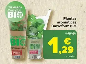 Carrefour Plantas aromáticas carrefour bio oferta
