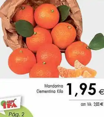 Cash Ifa Mandarina clementina kilo oferta