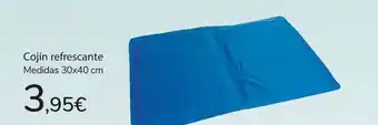 Carrefour Cojín Refrescante 30x40 Cm oferta