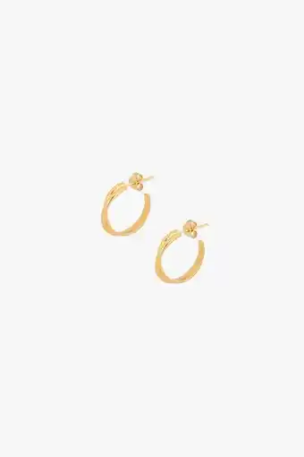 Pendientes aro limited edition