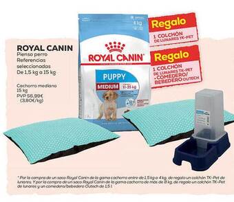 Kiwoko Royal canin pienso perro referencias seleccionadas oferta