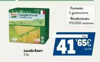 Makro Lasaña knorr oferta