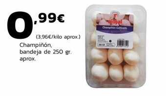 Supermercados Lupa Champiñón bandeja de 250 gr. aprox. oferta