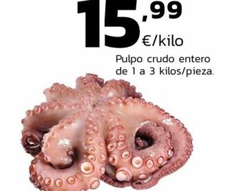 Supermercados Lupa Pulpo Crudo Entero de 1 a 3 kilos / pieza oferta