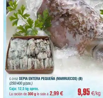 Abordo Sepia entera pequeña marruecos oferta