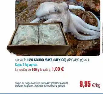 Abordo Pulpo crudo maya méxico oferta