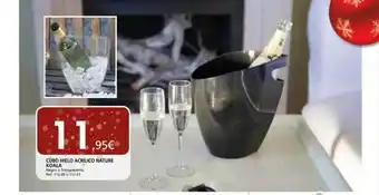 Coferdroza Cubo hielo acrilico nature koala oferta