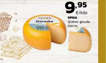 Supermercados Lupa Spiga queso gouda tierno oferta