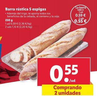 Lidl Pan oferta