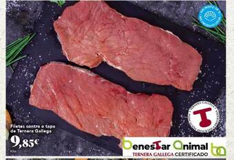Gadis Filetes contra o tapa de ternera gallega oferta