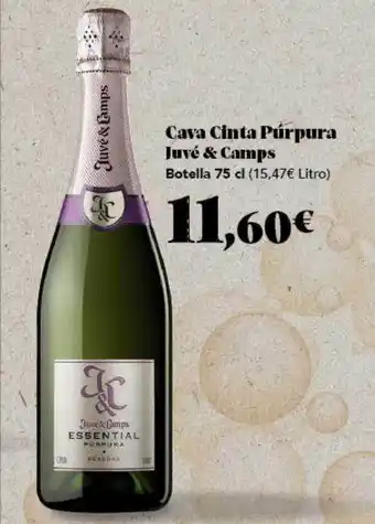 Gadis Cava cinta purpura juvé & camps oferta