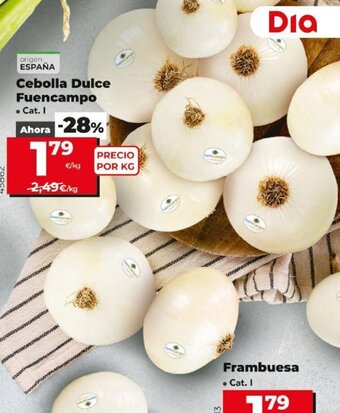 Dia Cebolla Dulce Fuencampo oferta