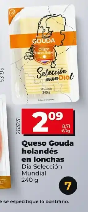 Dia Queso Gouda Holades En Lonchas oferta