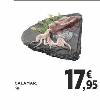 Supercor Calamar oferta