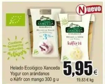 FROIZ Xanceda Yogur Con Arándanos O Kéfir Con Mango Helado Ecológico 300g oferta