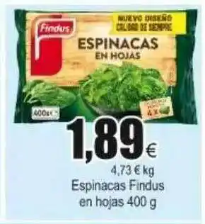 FROIZ Findus En Hojas Espinacas 400g oferta