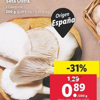 Lidl Seta ostra oferta