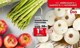 Dia Cebolla dulce fuencampo oferta