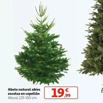 Alcampo Abeto natural abies oferta