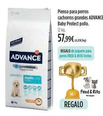 El Corte Inglés Pienso parra perros cachorros grandes advance baby protect pollo oferta