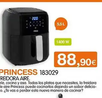 Expert Princess 183029 freidora aire oferta
