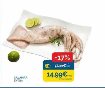 Cash Ecofamilia Calamar extra oferta