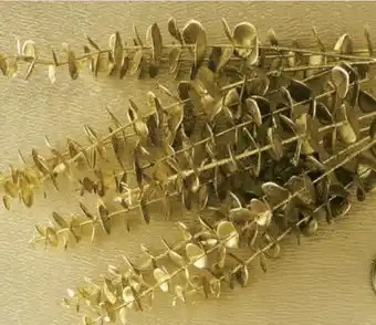 Carrefour Vara ecucalipto oro envejecido oferta