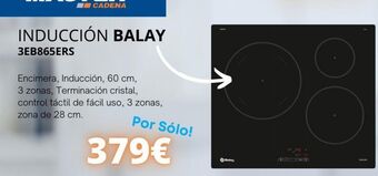 Master Cadena Cadena oferta