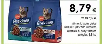 Cash Ifa Alimento para gatos brekkies oferta