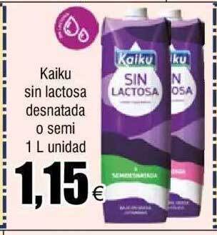 FROIZ Kaiku sin lactosa desnatada o semi oferta
