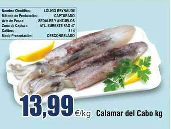 FROIZ Calamar del cabo kg oferta