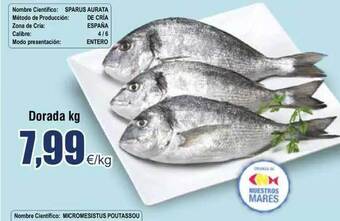 FROIZ Dorada kg oferta