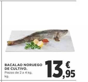 Bacalao noruego de cultivo