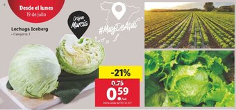 Lidl Lechuga Iceberg oferta