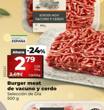Maxi Dia Carne picada de cerdo dia oferta