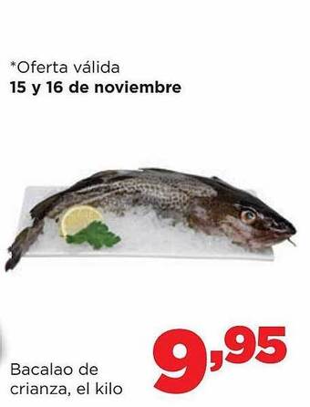 Alimerka Bacalao de crianza el kilo oferta