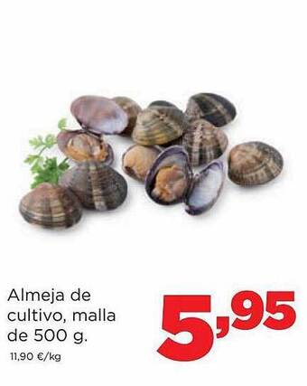 Alimerka Almeja de cultivo malla oferta