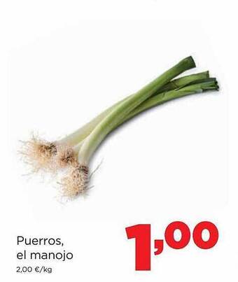 Alimerka Puerros el manojo oferta