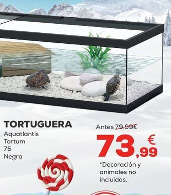Kiwoko Acuario oferta