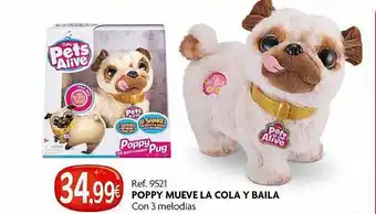 Afede Poppy mueve la cola y baila oferta
