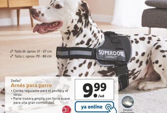 Lidl Arnés para perros oferta