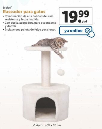Lidl Rascador oferta