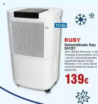 FROIZ Deshumidificador ruby oferta