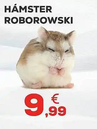 Kiwoko Hámster roborowski oferta