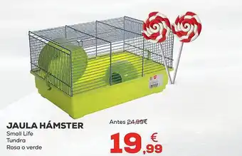 Kiwoko Jaula hámster oferta