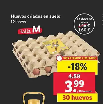Lidl Huevos criados en suelo oferta