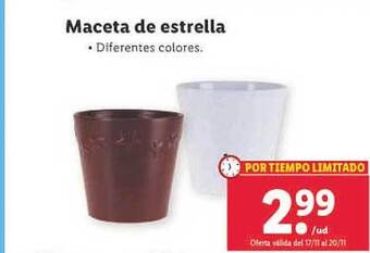 Lidl Maceta de estrella oferta