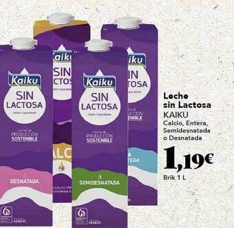 Gadis Leche sin lactosa kaiku oferta