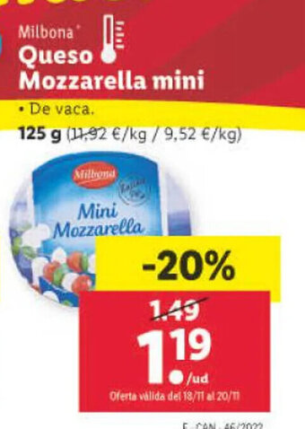 Lidl Queso Mozzarella Mini oferta